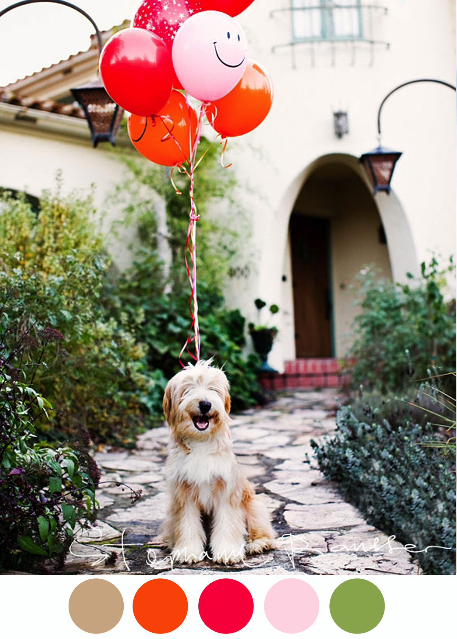 Ens pictures. Шарик собачка. Собака с воздушными шарами. Шарики воздушные животные. Воздушные шары собачки.